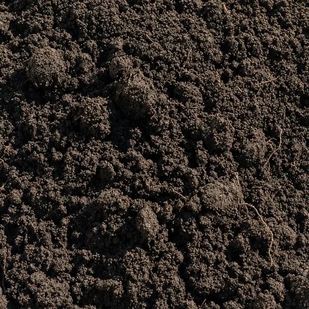 Top Soil - Image 1