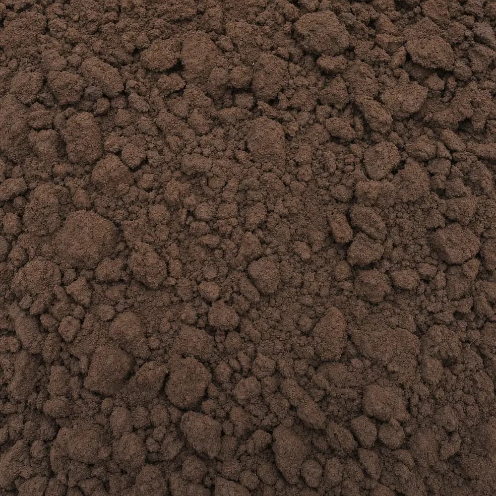 Coral Fill - Image 3